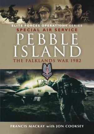 Cover of the book Pebble Island by Francesco Maria Galassi, Hutan Ashrafian