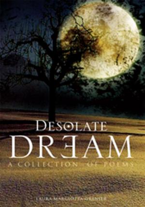 Cover of the book Desolate Dream by PJ Parisi
