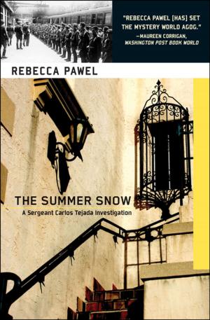 Cover of the book The Summer Snow by Martin Waddell