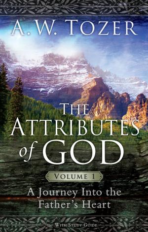 Book cover of The Attributes of God Volume 1