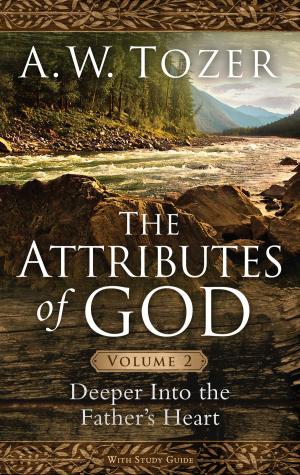 Book cover of The Attributes of God Volume 2