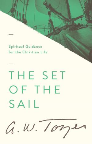 Book cover of The Set of the Sail