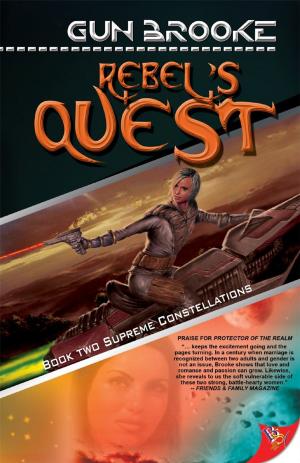 Book cover of Rebel's Quest