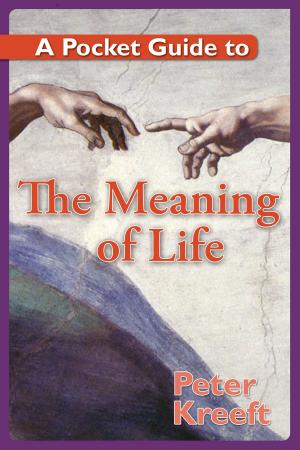 Cover of the book A Pocket Guide to the Meaning of Life by Fr. Robert J. Hater
