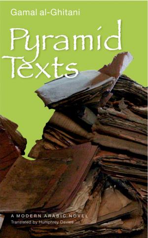 Book cover of Pyramid Texts