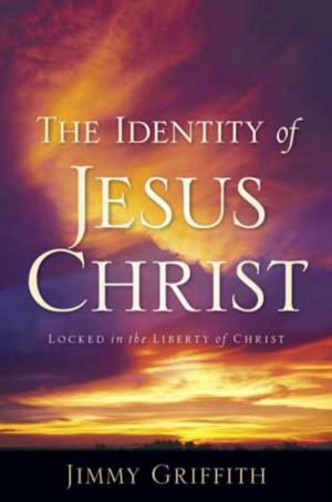 Cover of the book The Identity of Jesus Christ by Robin E S  Lim