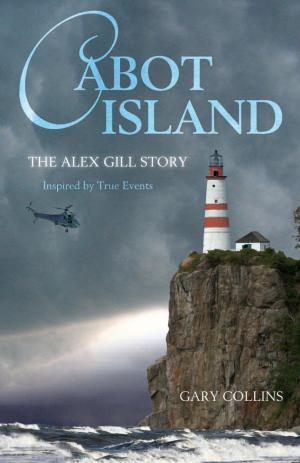 Cover of the book Cabot Island by Bill Rowe