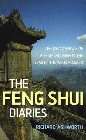 bigCover of the book The Feng Shui Diaries by 