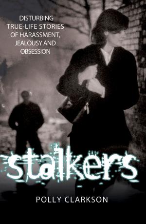 Cover of the book Stalkers by Chas Newkey-Burden