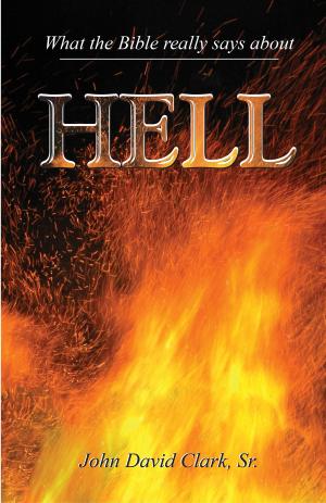 Book cover of What the Bible Really Says About Hell