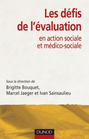 Book cover of Les défis de l'évaluation