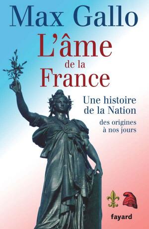 Book cover of L'âme de la France