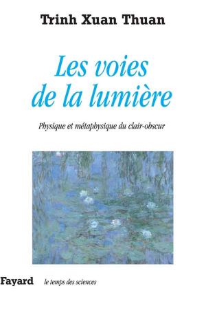 Book cover of Les voies de la lumière