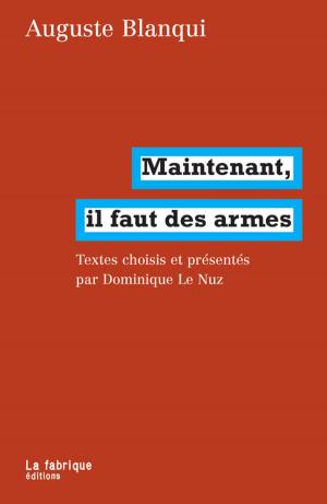 Cover of the book Maintenant, il faut des armes by Isabelle Garo