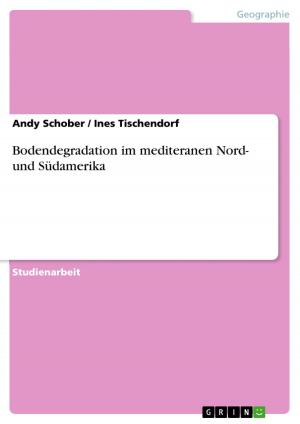 Cover of the book Bodendegradation im mediteranen Nord- und Südamerika by Inga Bliermann