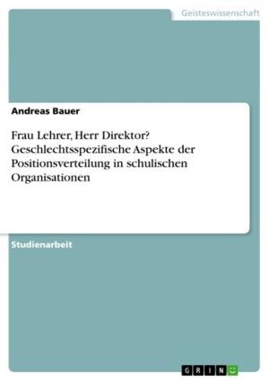 Book cover of Frau Lehrer, Herr Direktor? Geschlechtsspezifische Aspekte der Positionsverteilung in schulischen Organisationen