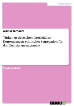 Book cover of Türken in deutschen Großstädten - Konsequenzen ethnischer Segregation für das Quartiersmanagement