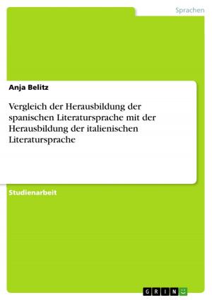 Cover of the book Vergleich der Herausbildung der spanischen Literatursprache mit der Herausbildung der italienischen Literatursprache by Jördis Möllmann