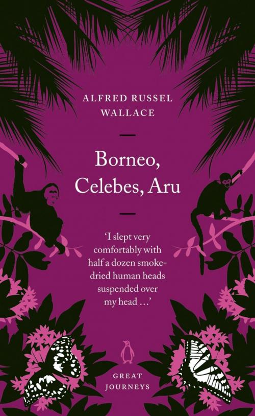 Cover of the book Borneo, Celebes, Aru by Alfred Russel Wallace, Penguin Books Ltd
