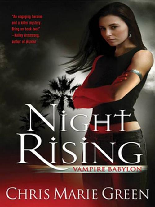 Cover of the book Night Rising by Chris Marie Green, Penguin Publishing Group