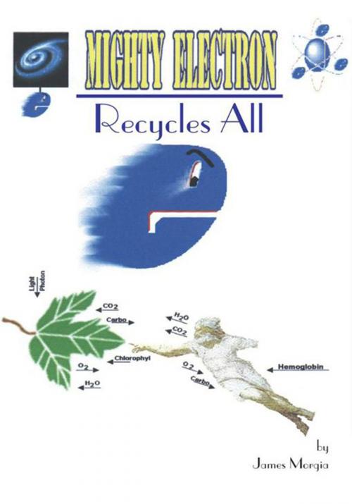 Cover of the book The Mighty Electron Recycles All by James Morgia, Trafford Publishing