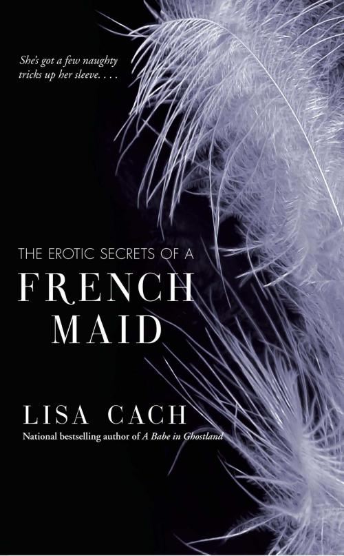 Cover of the book The Erotic Secrets of a French Maid by Lisa Cach, Pocket Books