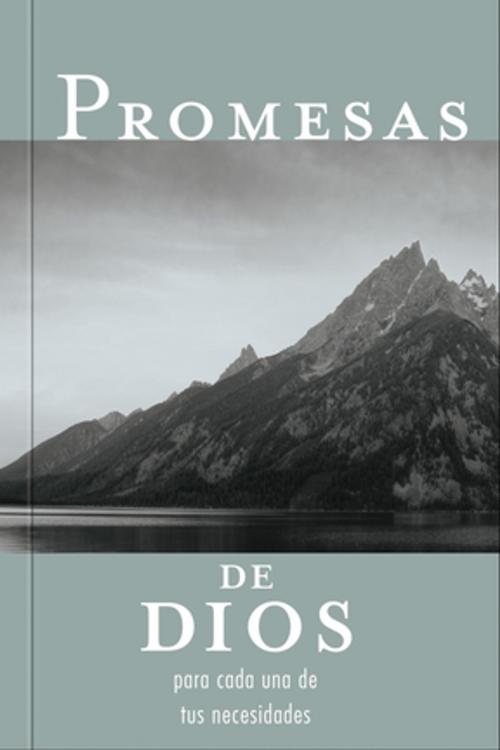 Cover of the book Promesas de Dios by Jack Countryman, Grupo Nelson