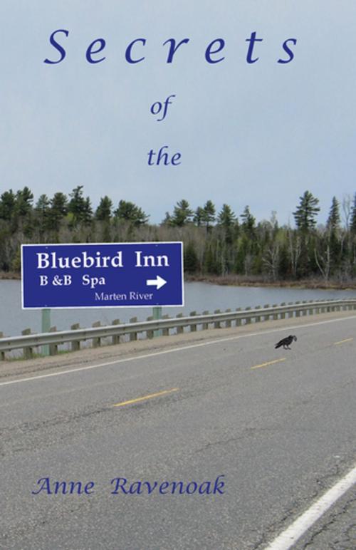 Cover of the book Secrets of the Bluebird Inn by Anne Ravenoak, Trafford Publishing