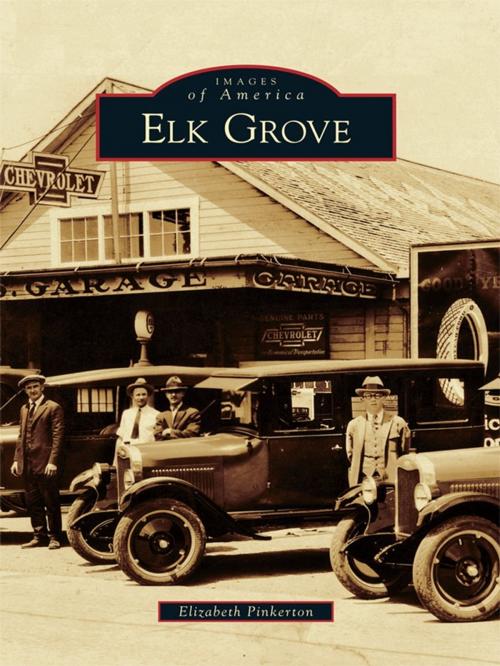 Cover of the book Elk Grove by Elizabeth Pinkerson, Arcadia Publishing Inc.