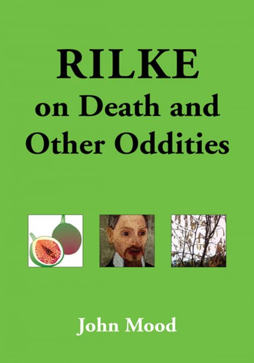 Cover of the book Rilke on Death and Other Oddities by John Mood, Xlibris US