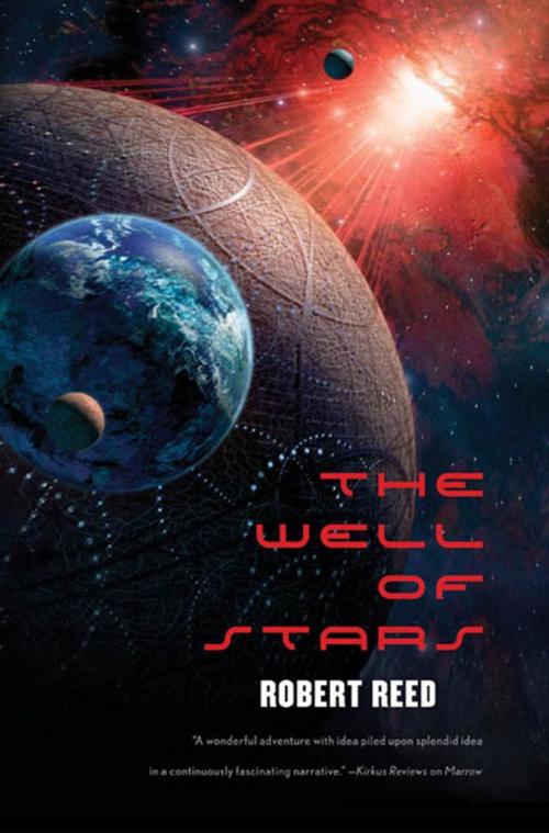 Cover of the book The Well of Stars by Robert Reed, Tom Doherty Associates