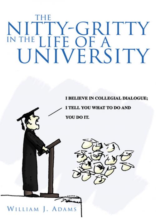 Cover of the book The Nitty-Gritty in the Life of a University by William J. Adams, Xlibris US