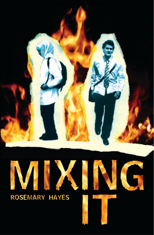 Cover of the book Mixing It by Rosemary Hayes, Frances Lincoln