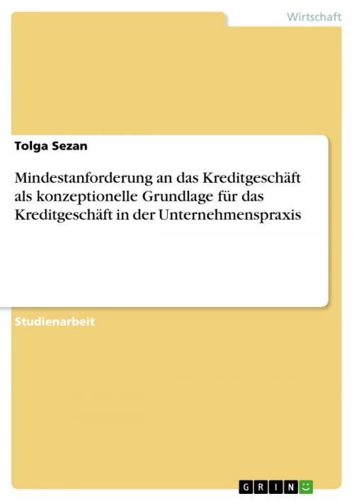 Cover of the book Mindestanforderung an das Kreditgeschäft als konzeptionelle Grundlage für das Kreditgeschäft in der Unternehmenspraxis by Tolga Sezan, GRIN Verlag
