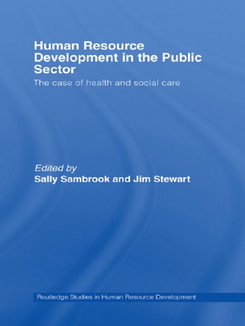 Big bigCover of Human Resource Development in the Public Sector