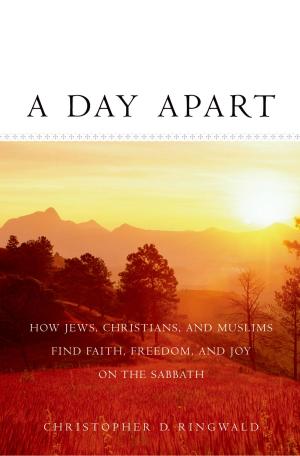 Cover of the book A Day Apart by Robert E. Thayer, Ph.D