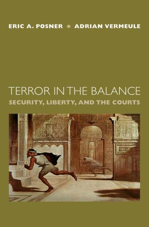 Cover of the book Terror in the Balance by Alison Dundes Renteln