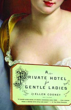 Cover of the book A Private Hotel for Gentle Ladies by Yasmina Reza