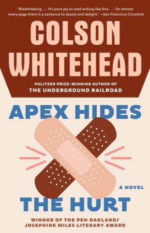 Cover of the book Apex Hides the Hurt by Philip Hensher