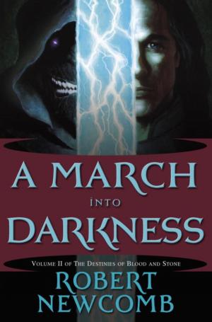 Cover of the book A March into Darkness by Belva Plain
