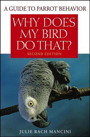 Cover of the book Why Does My Bird Do That by Rabbi David A. Cooper