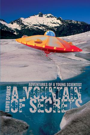 Cover of the book A Mountain of Secrets by P N Burrows