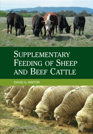 Cover of the book Supplementary Feeding of Sheep and Beef Cattle by Kevin Handreck