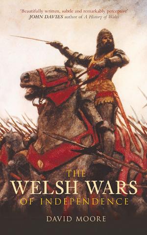 Cover of the book Welsh Wars of Independence by Geoff Body, Ian Body