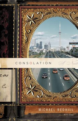 Cover of the book Consolation by Randine Lewis