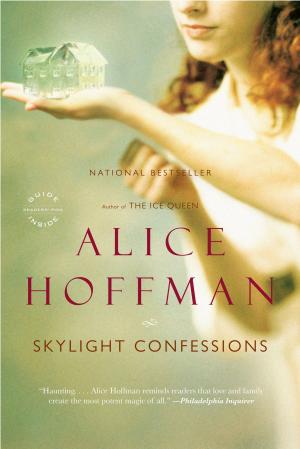 Cover of the book Skylight Confessions by William Shaw