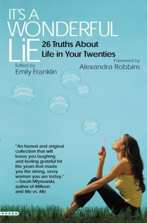 Cover of the book It's a Wonderful Lie by Karley Sciortino