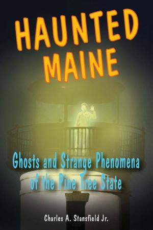 Cover of the book Haunted Maine by Michael Wood