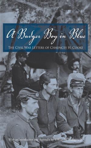 Cover of the book A Badger Boy in Blue by David G. Roskies