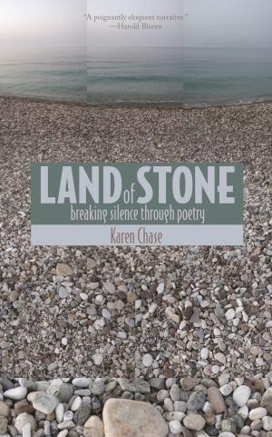 Cover of the book Land of Stone by Julie Pincus, Nichole Christian